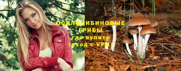 spice Армянск