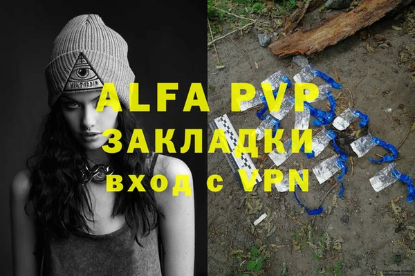 гашик Арсеньев