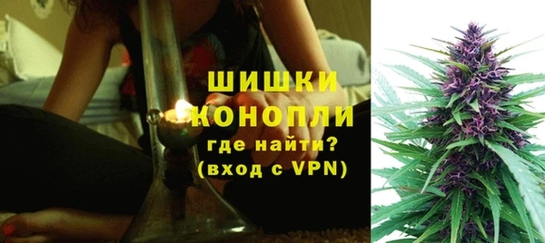 гашик Арсеньев