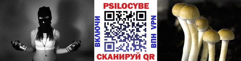 Галлюциногенные грибы Magic Shrooms  Бабушкин 
